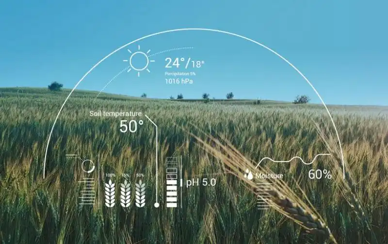 预测2019年：智能农场，数字食品和植物机器人